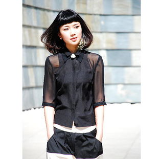 時尚寵兒 吉娃娃的專屬衣櫥指南